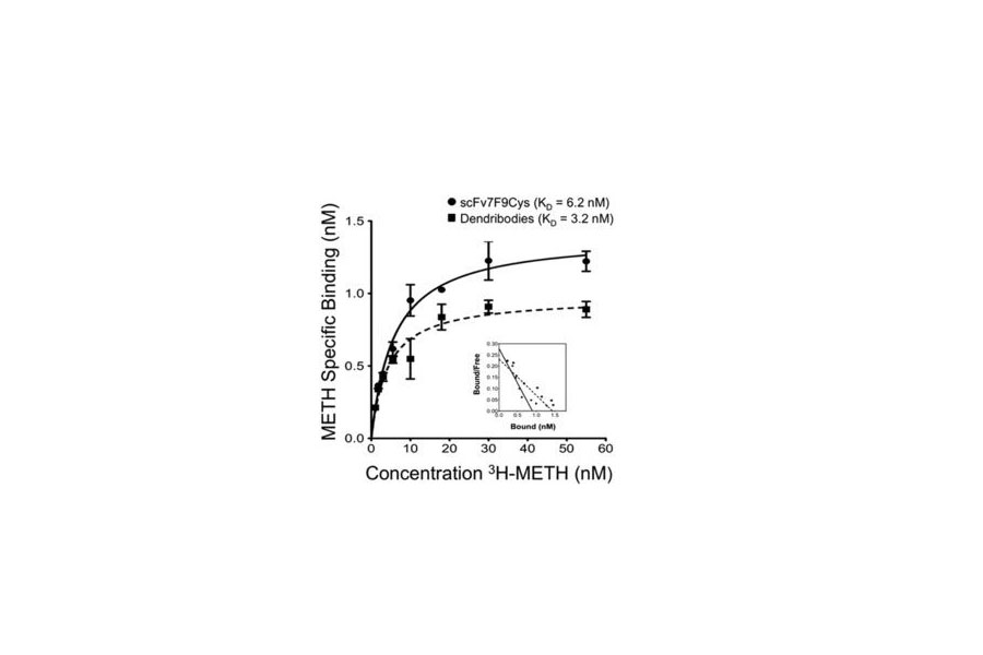 Concentration and Metabolites Methamphetamine Godoy Medical Forensics