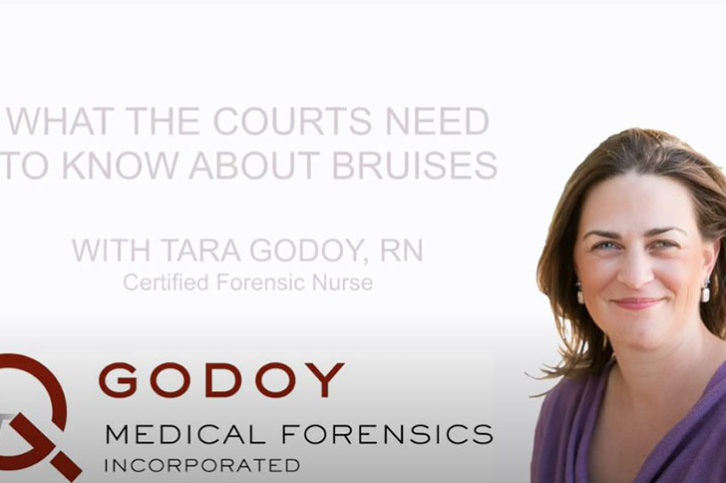 Screen-Shot-2020-11-23-at-10.37.20-AM